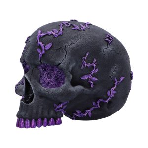 Rose Geode Skull