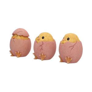 Three Wise Chicks