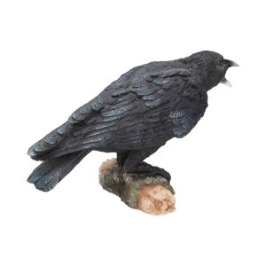 Raven's Call 20cm