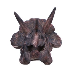 Triceratops Skull 14.5cm