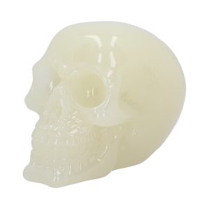 Phosphorescent (Medium) 13cm