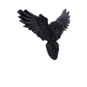 Flight of the Raven 35cm